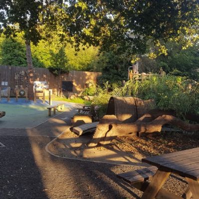 early morning summer sunshine